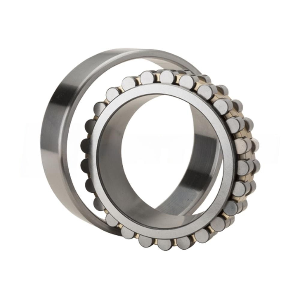 Подшипник NN3009 KC9NAP4 Monton
